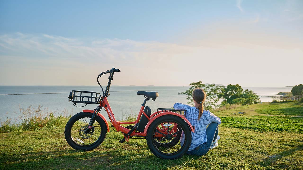 Unraveling the Effect of Climate on Electric Trikes