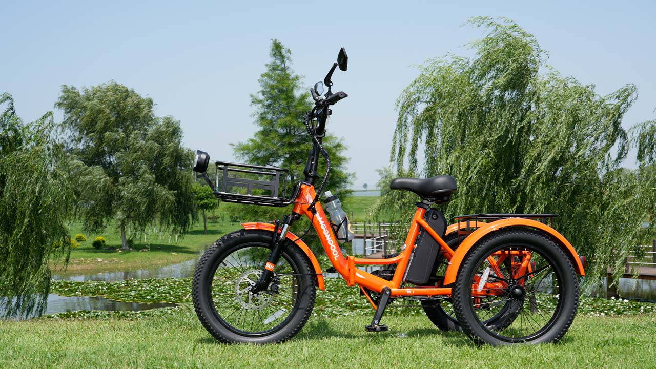 Discover Essential Riding Gear for Electric Trikes