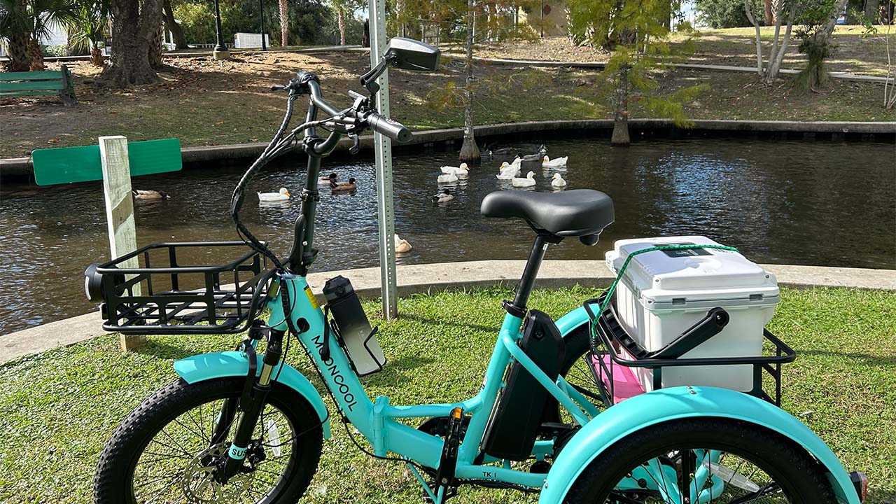 Ensuring Durability: Maintain Battery Health in Electric Trikes